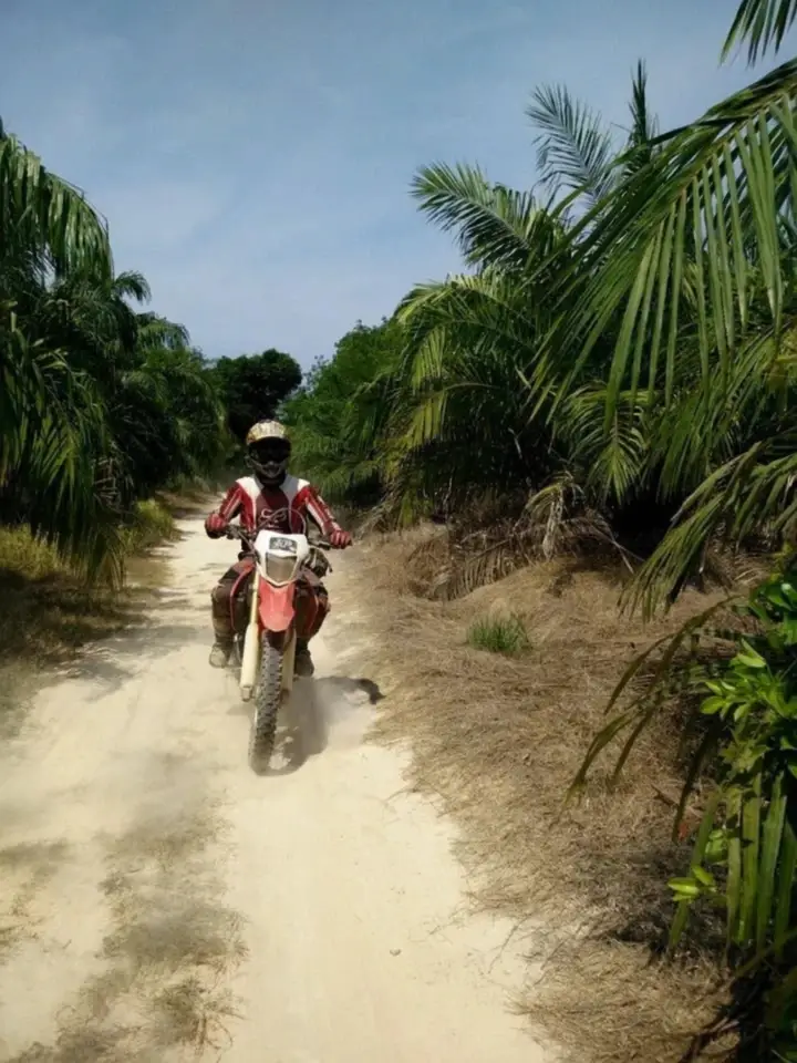 A rider on a red dirt bike on a sandy track between palm trees